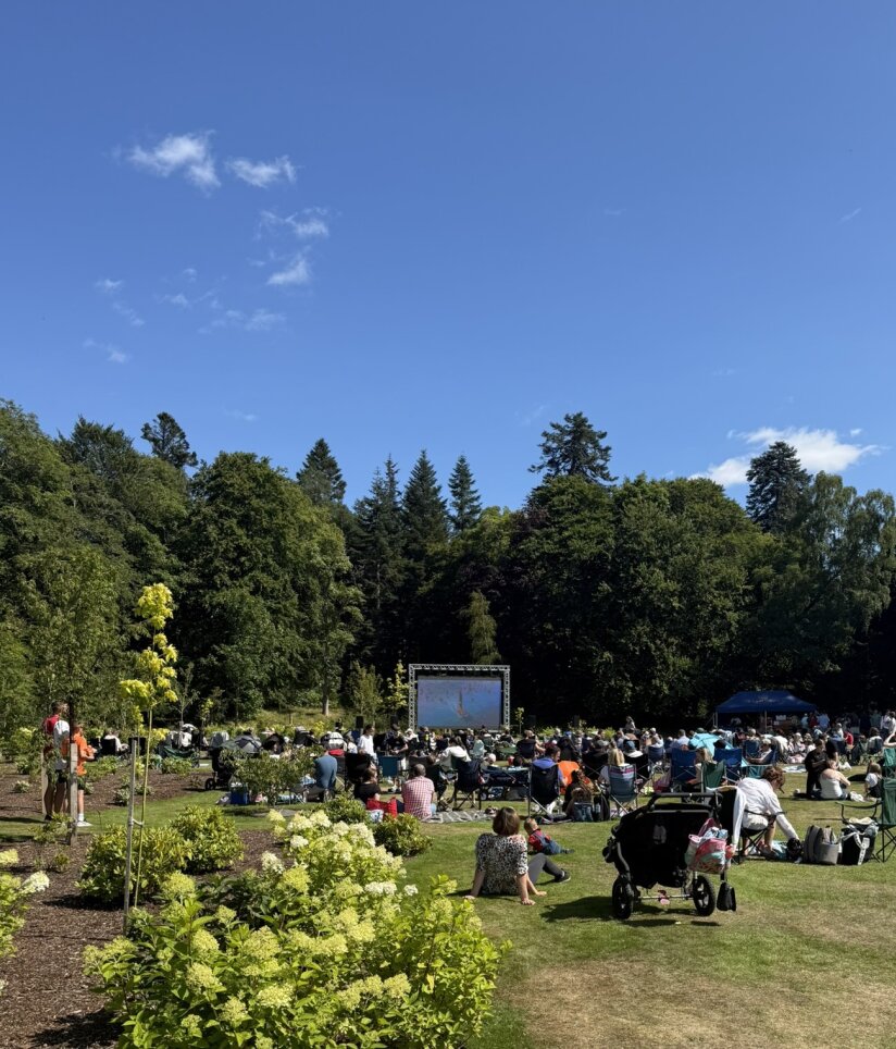 Evening Cinema Screening