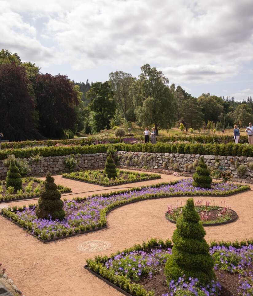 Exploring Balmoral Gardens