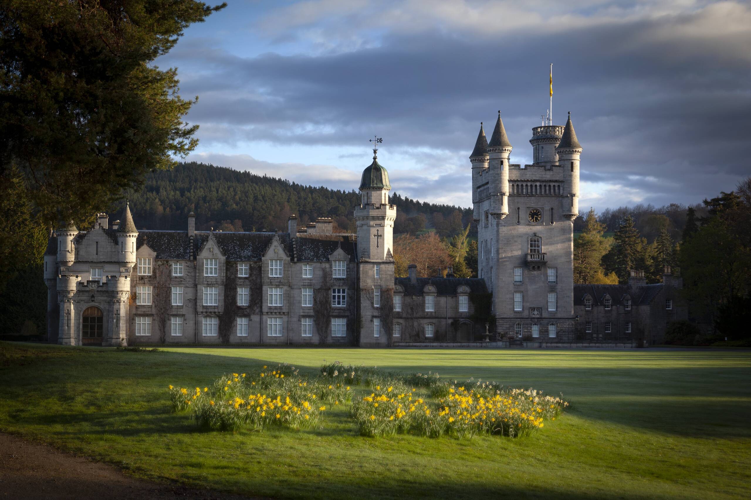 Balmoral Castle, a grey stone building with turrets, sits against a backdrop of pine forrest hills under a partly cloudy sky. The foreground features a green lawn with yellow daffodils.