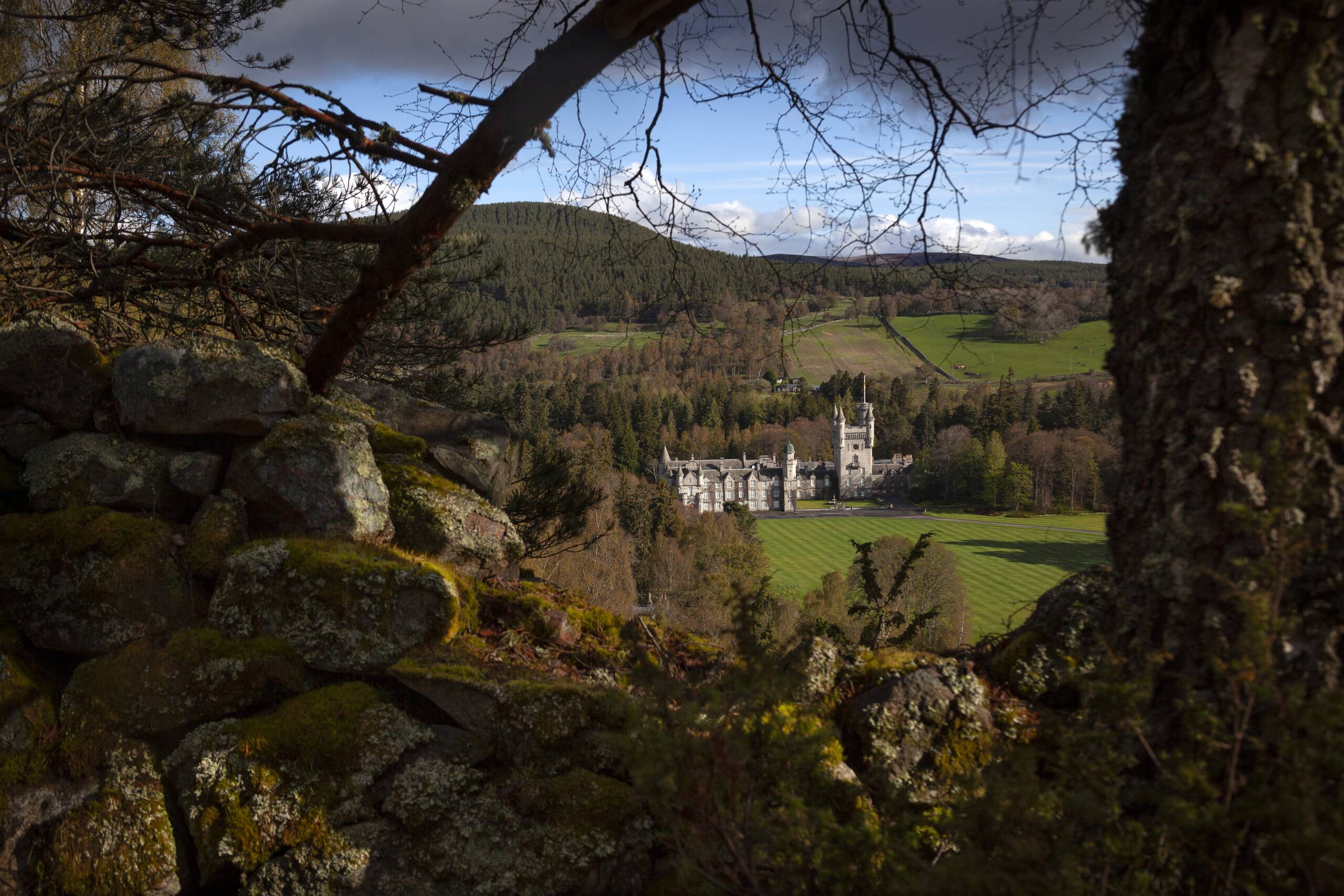 Balmoral Castle is seen from a distance, surrounded by lush green fields and dense forests, framed by tree branches and moss-covered rocks in the foreground.